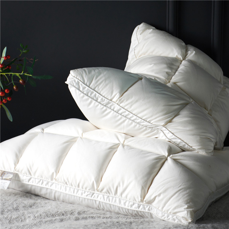 Home Textiles Premium - Omvatten 2 Stuks 20X30 