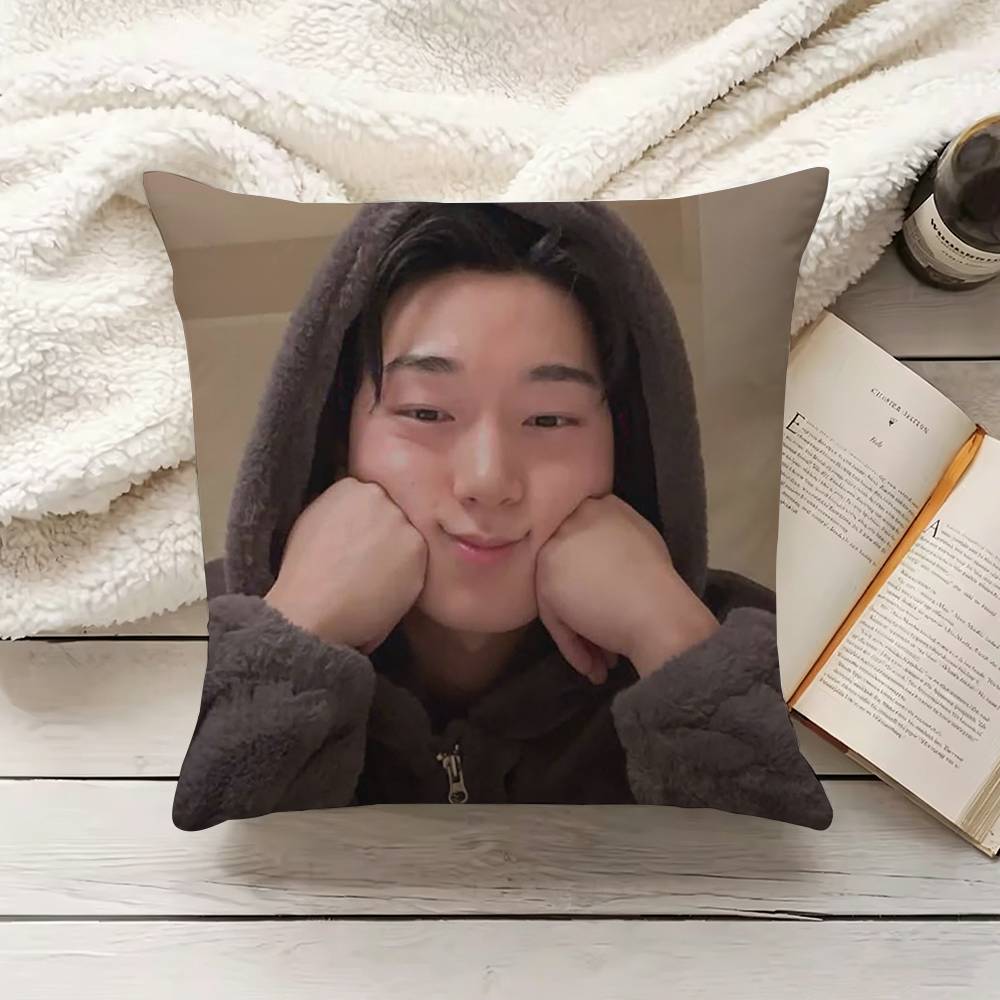 C-Choi S-San Kussensloop Bankk - Home Textiles Inc recensie en prijs